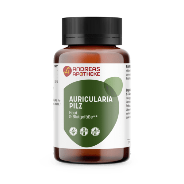 Auricularia Pilz