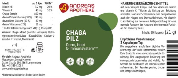 Chaga Pilz – Bild 2