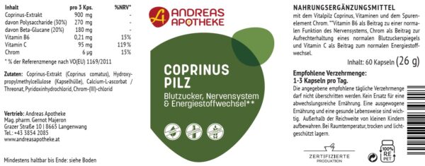 Coprinus Pilz – Bild 2