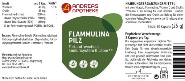 Flammulina Pilz – Bild 2