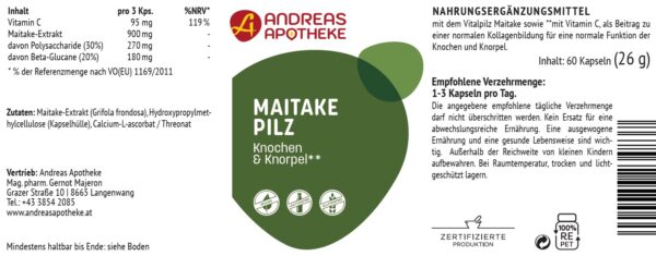 Maitake Pilz – Bild 2